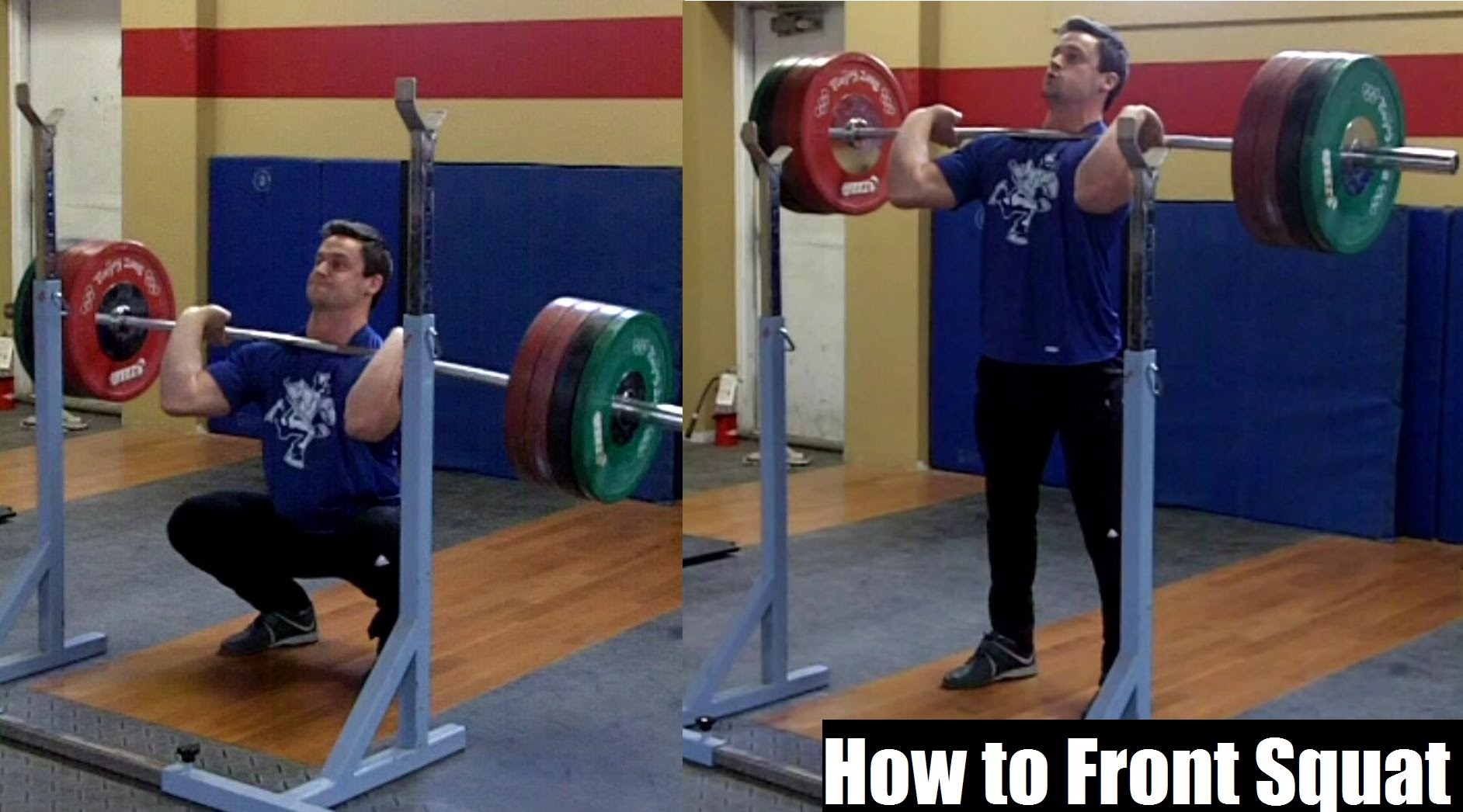 Back vs. Front Squats – Understanding The Differences - Performance Plus  Programming