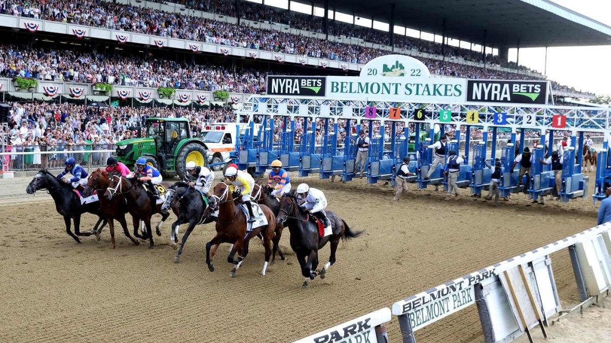 Belmont Stakes Preview and Prediction The Sports Column Sports